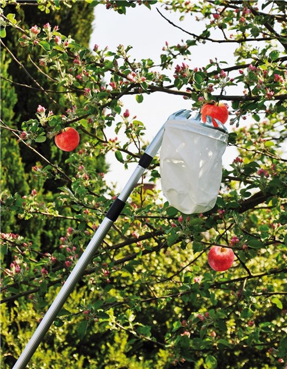 Fruktplukker med Teleskopskaft 150-260cm